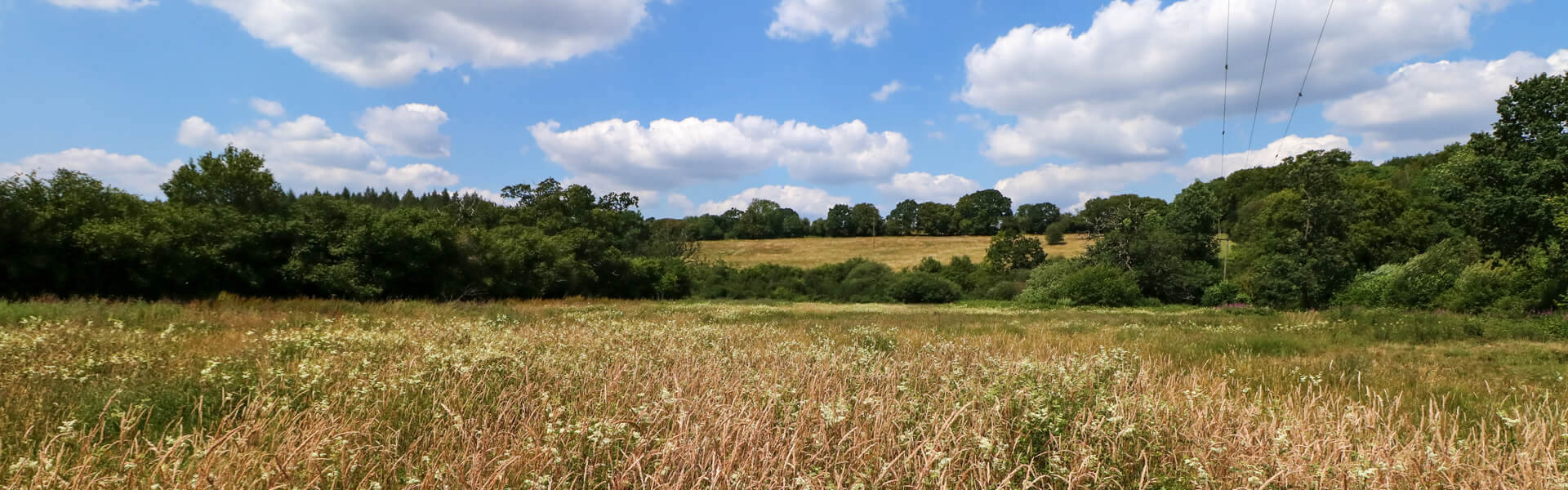 Frogmore-Meadows Photographed by Josh-Kubale