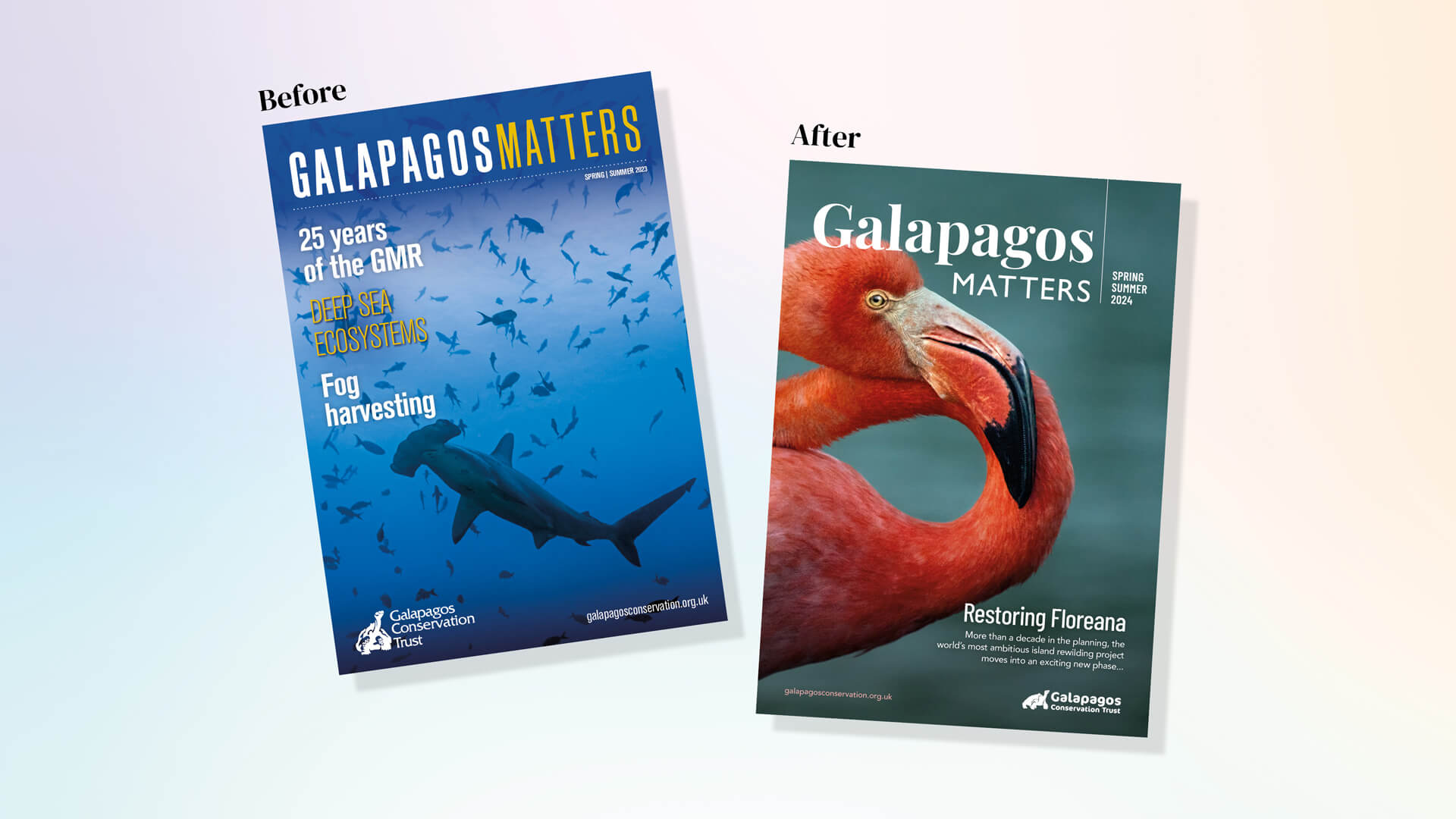 Galapagos magazine before and after redesign