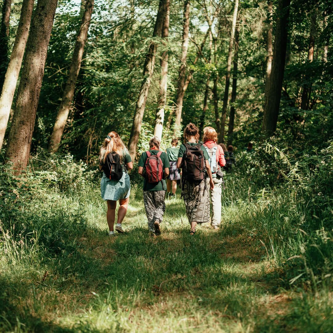 Earthwatch volunteers in a forest