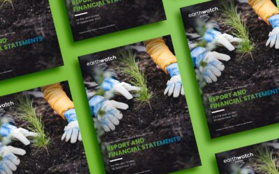 Types of impact reports every organisation should know