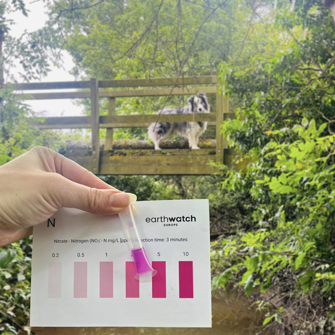 Comparing the water quality against the test card