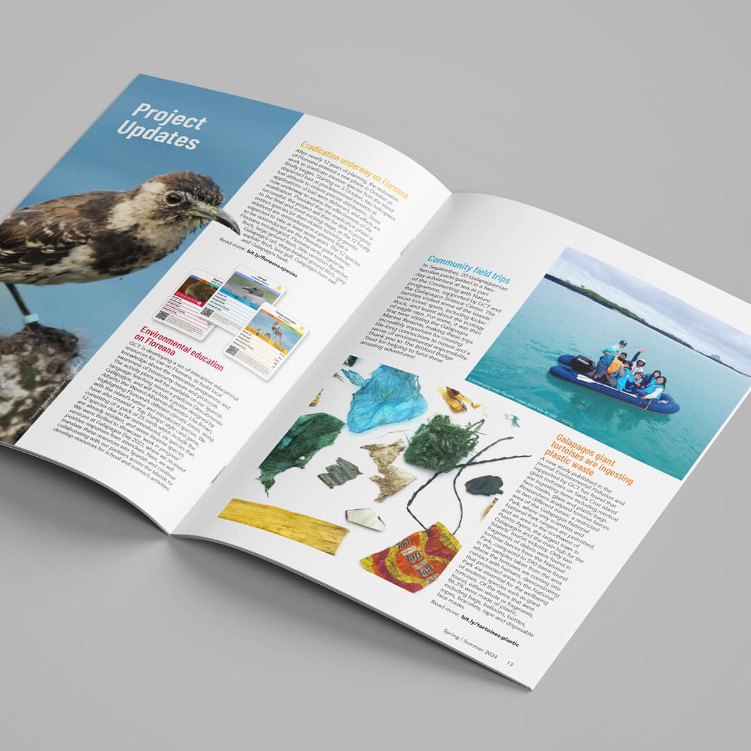 Inside spread design for Galapagos matters