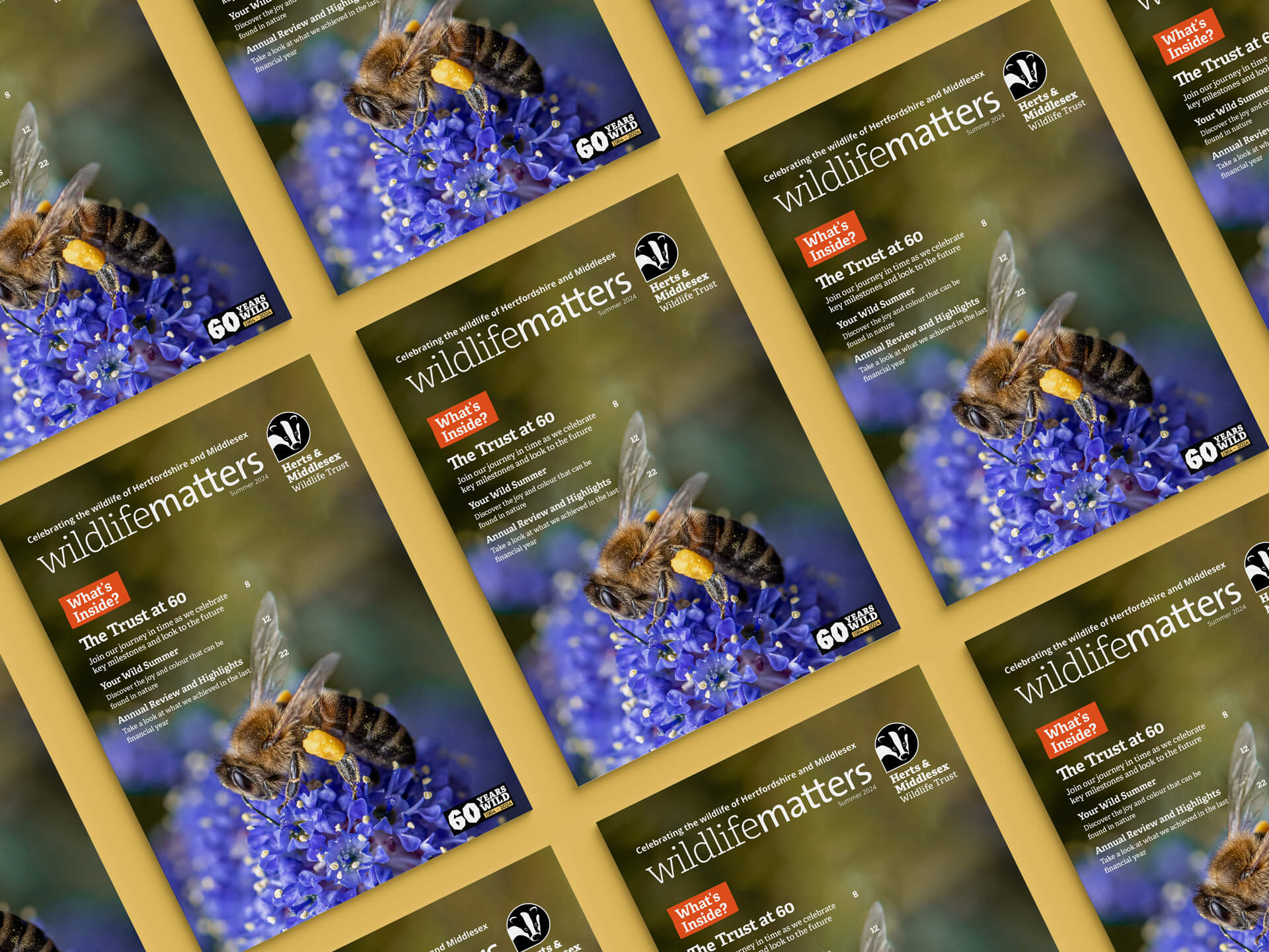 Cover design for Wildlife Matters