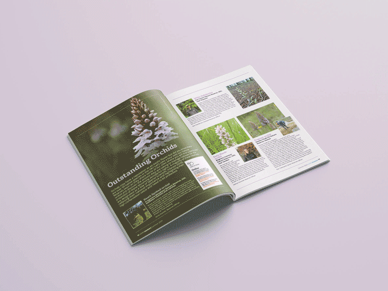 Spreads of features for Herts & Middlesex Wildlife Trust's  'Wildlife Matters' magazine.