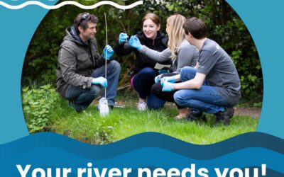 Great UK WaterBlitz: Campaign Report