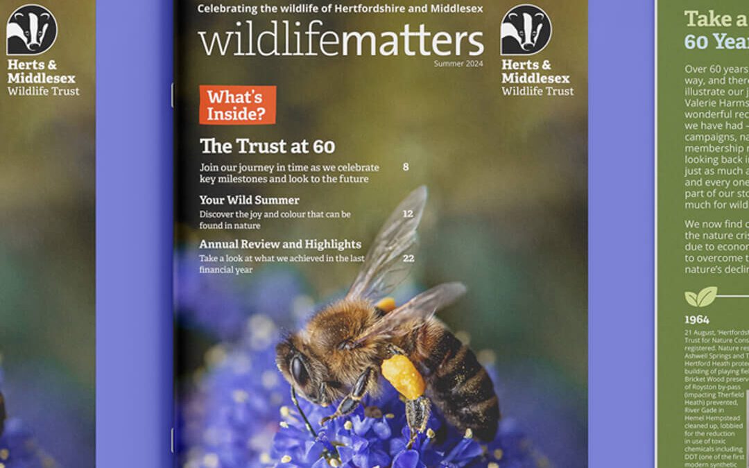 HMWT: Wildlife Matters Magazine