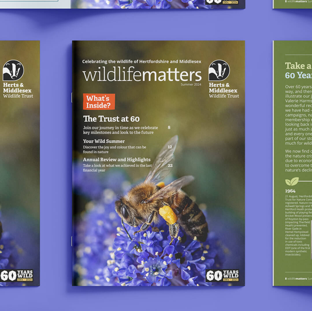 Covers and back covers for Wildlife Matters