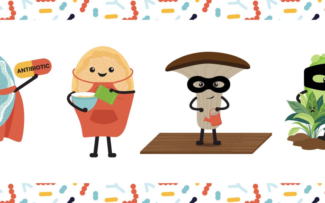 Graphic design and illustration: key differences & uses 