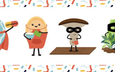 Graphic design and illustration: key differences & uses 