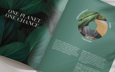 Graphic design trends | Creative insights by TGDH