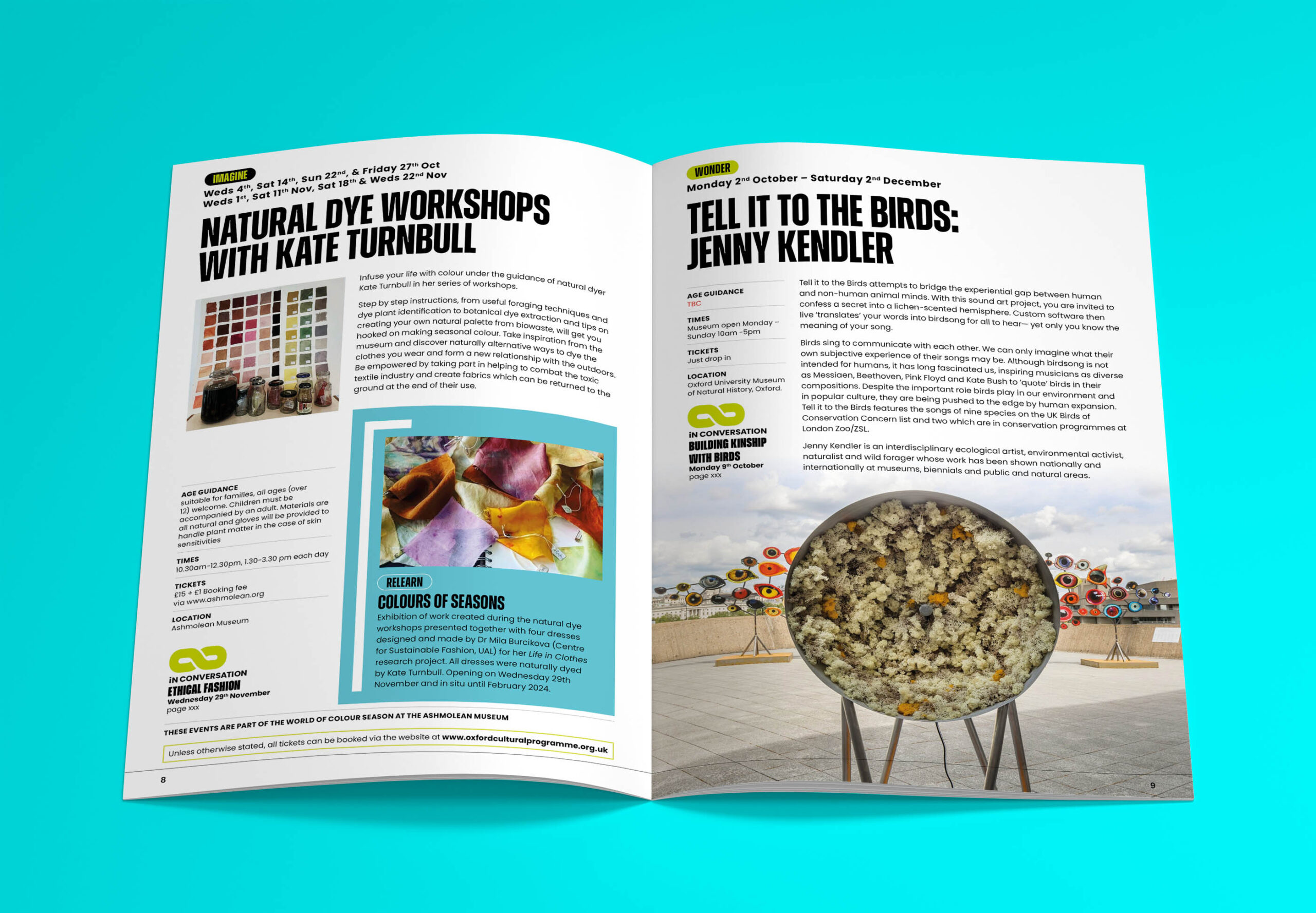 Oxford cultural programme's, everything is connected brochure which showcases the grid layout structure design approach.