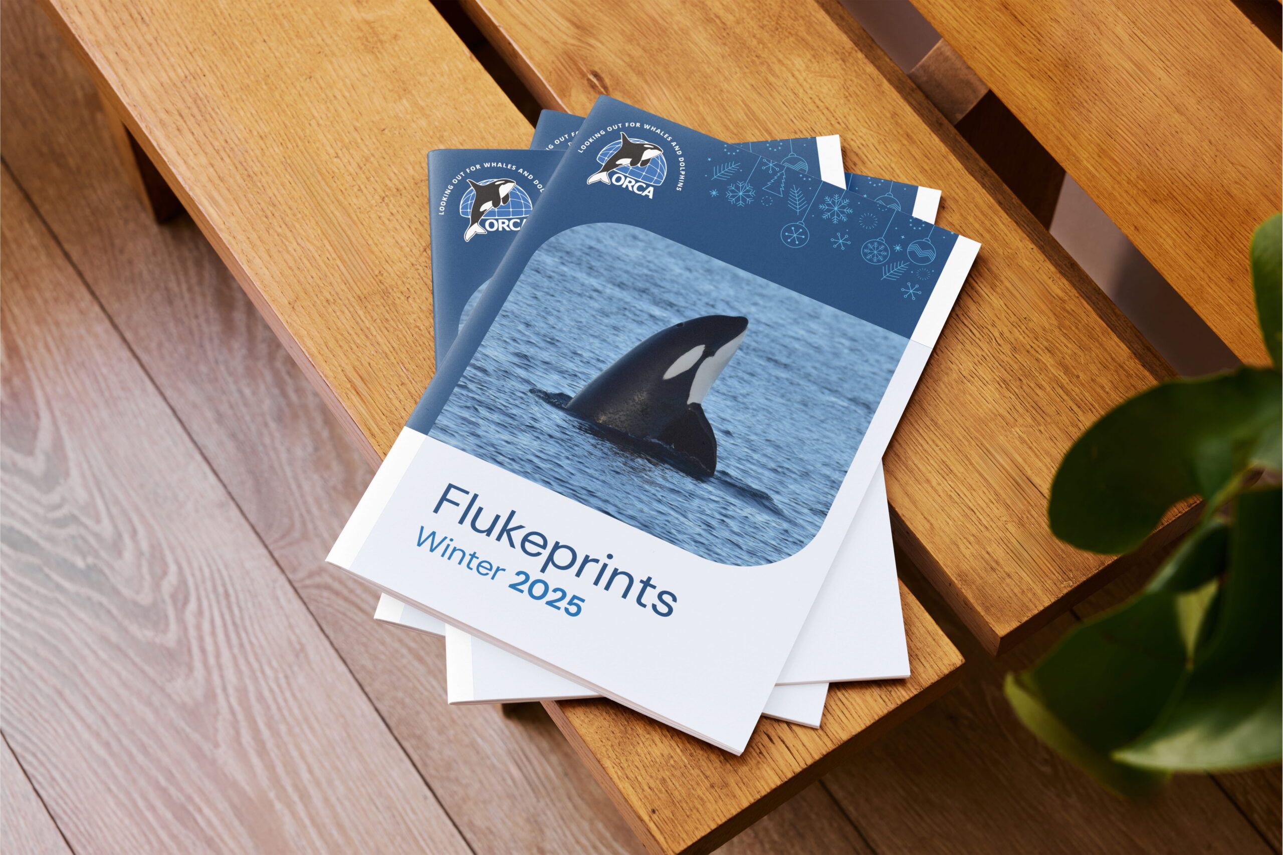 A mock-up showing the Orca 'Flukeprints' Winter 2025 edition on a wooden table.