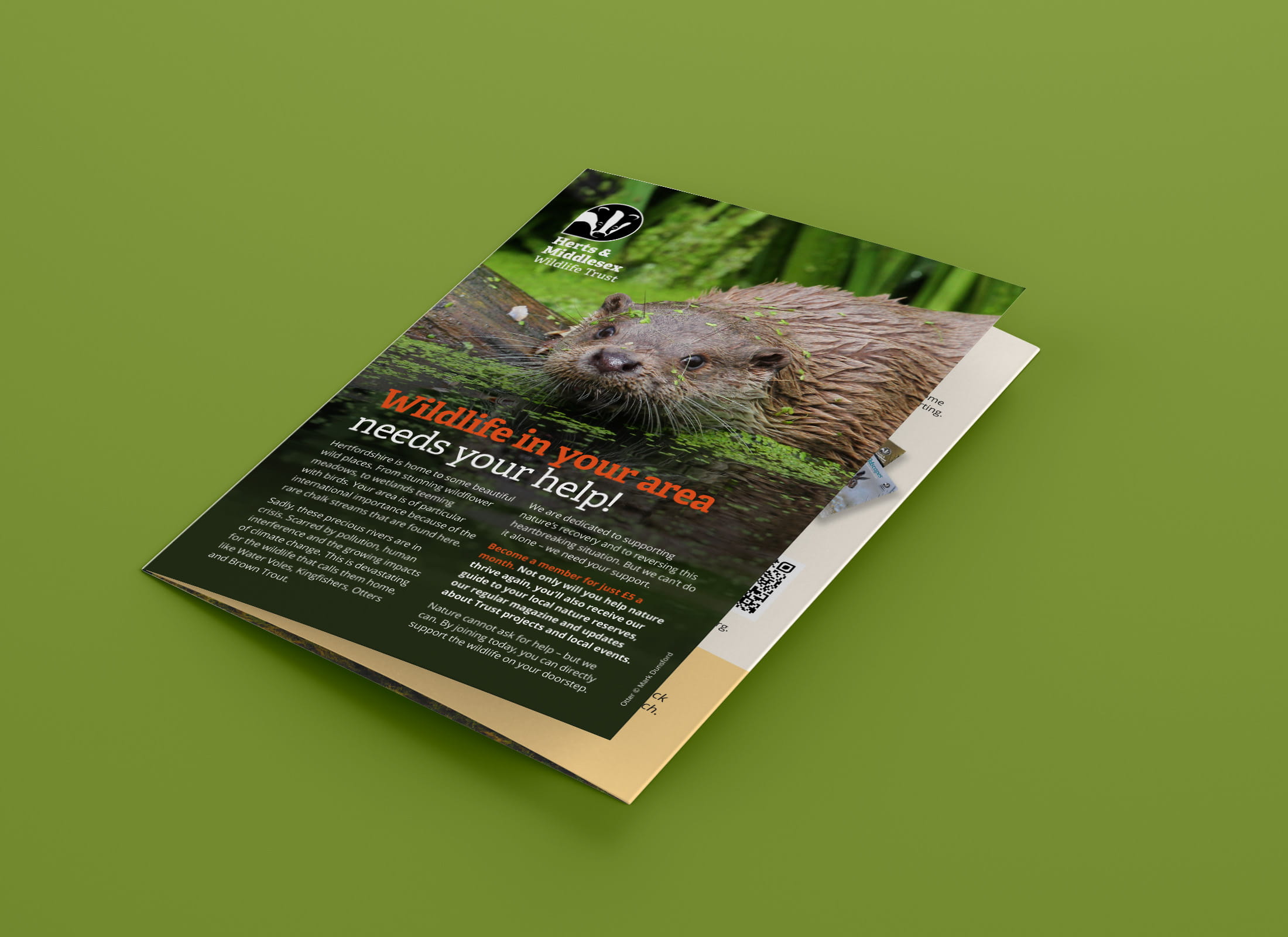 A mock-up showing the HMWT join us mailing. 