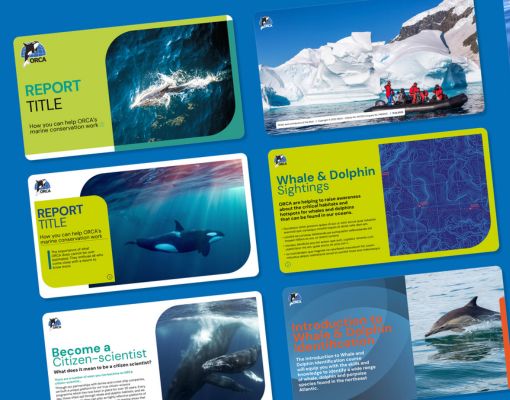 A mock-up showing the multiple slides from a PowerPoint designed by The Graphic Design House