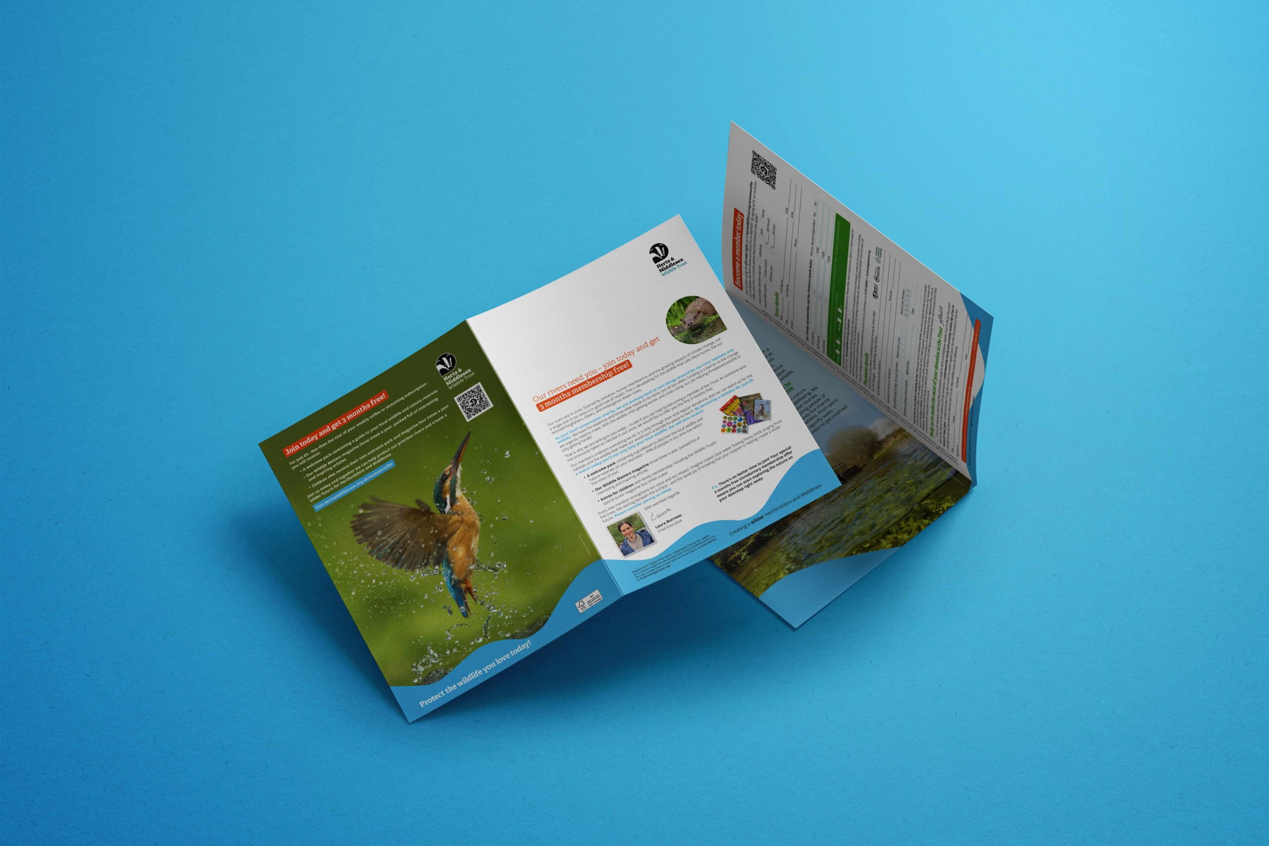 3 posters mocked up showing the variety of designs for Gascoyne Estates