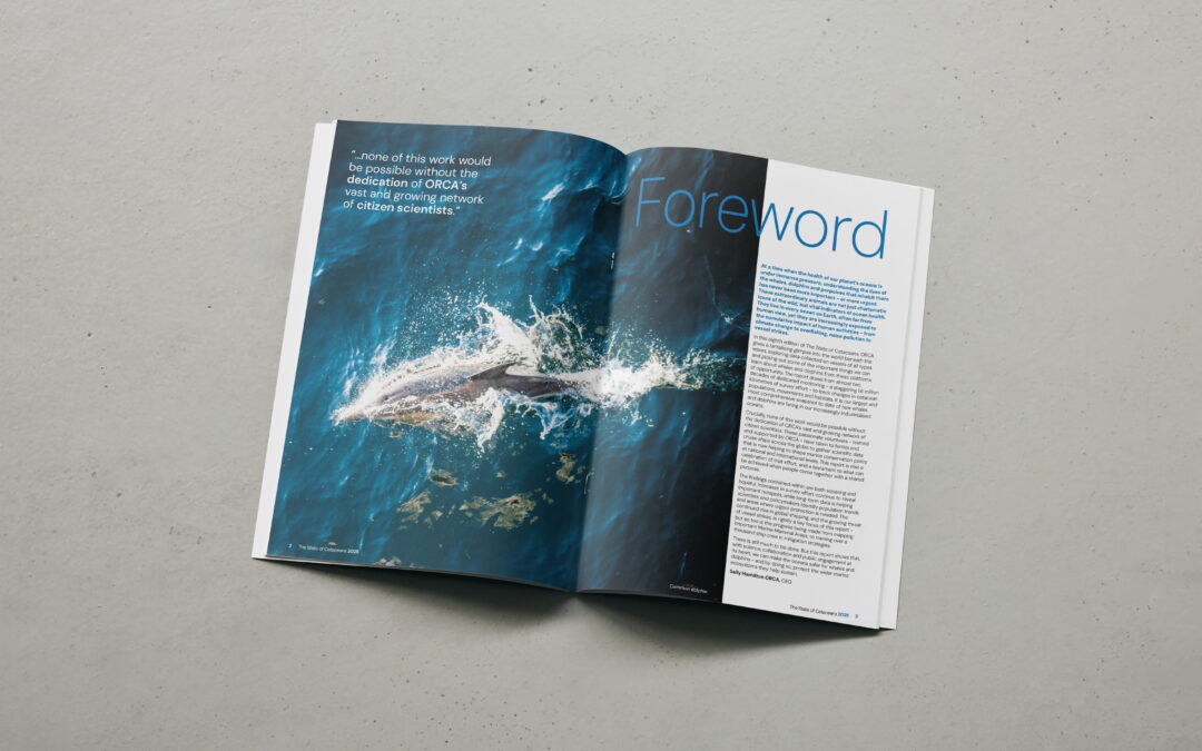 A mock-up of the Orca SOC report showing an internal spread from the 'Foreword' page.