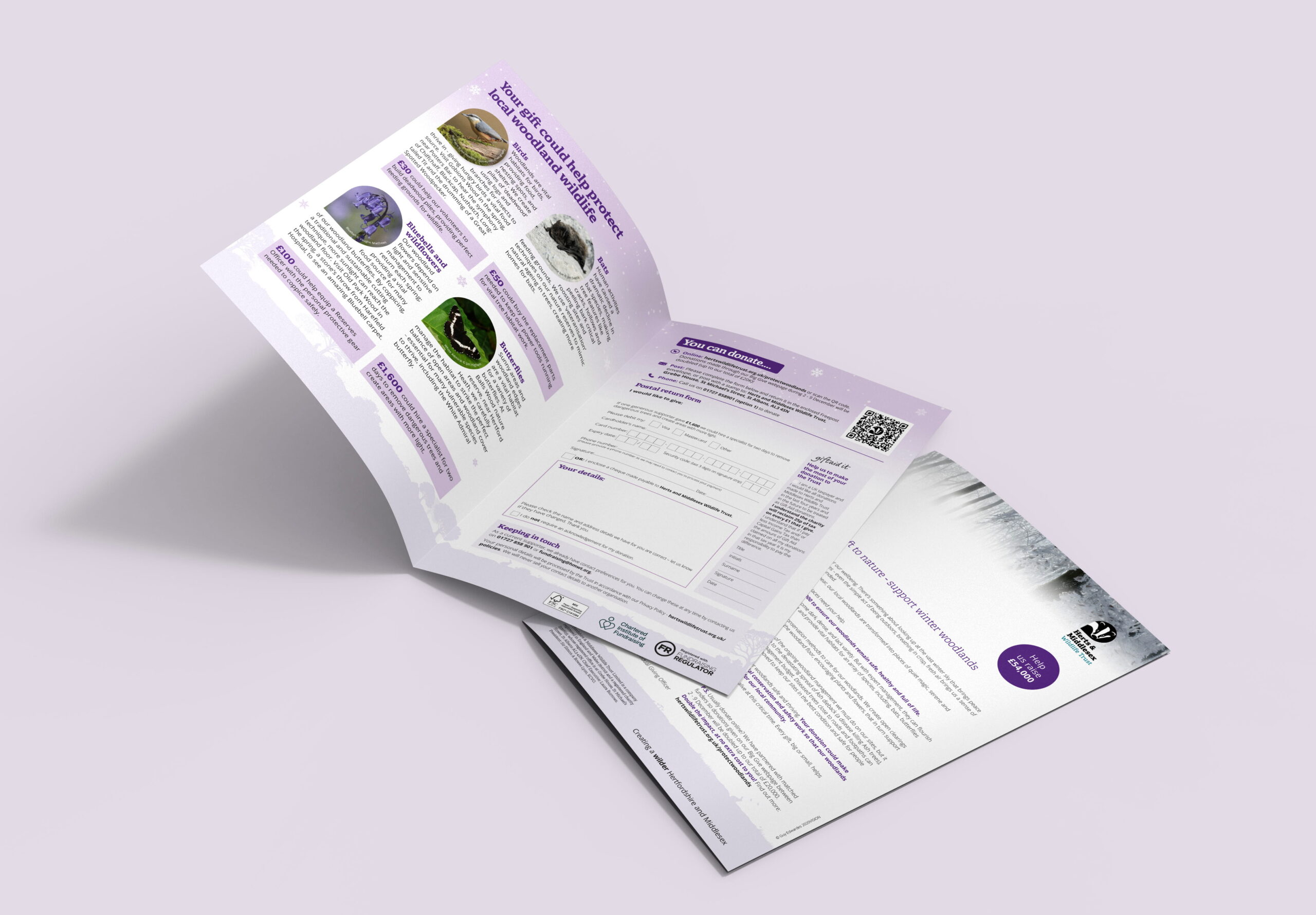 A mock-up showing the inside of the Woodland Appeal mailing for HMWT