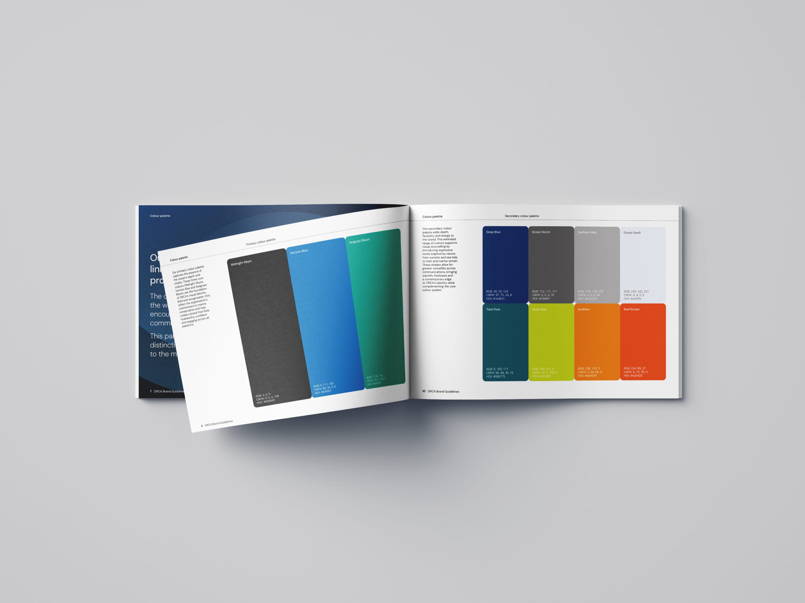 A mock-up showing the Orca brand guidelines, colour page.