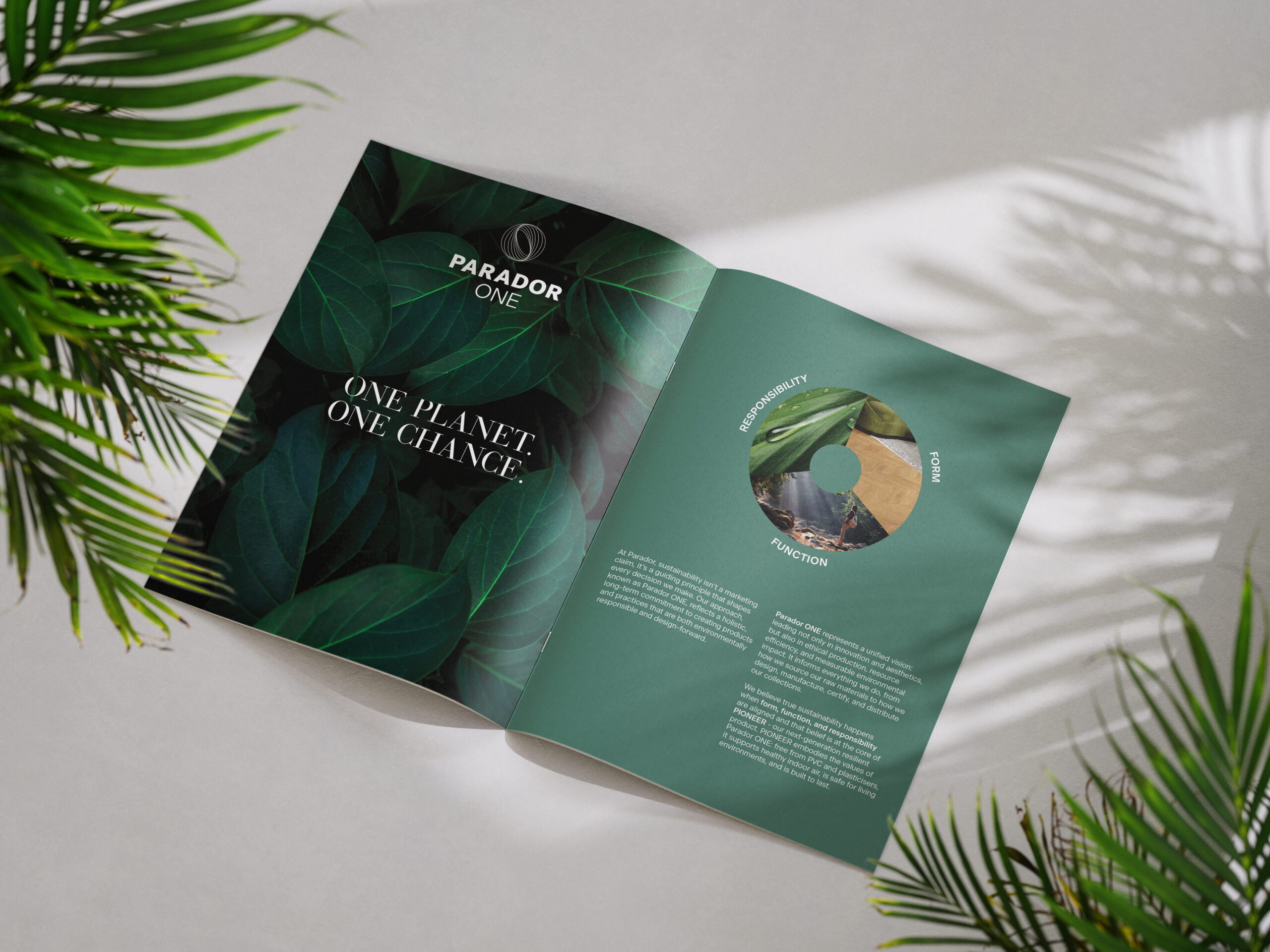 Circomedia's prospectus 2025/26 on a red background with a spotlight shining down on to it.