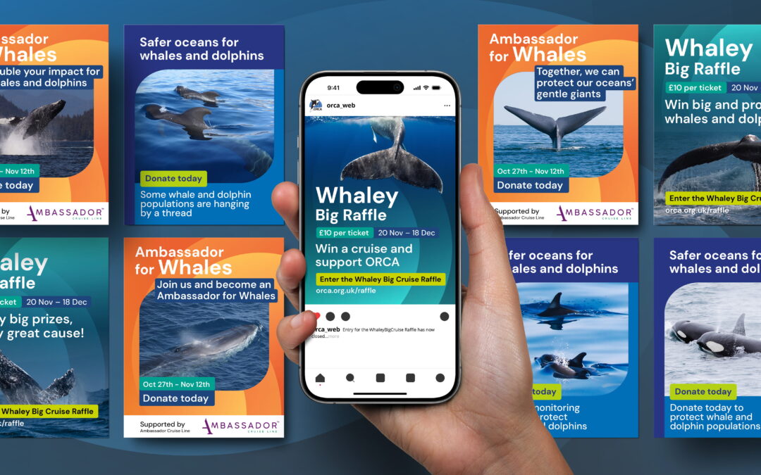 A mock-up of multiple different social graphics created for Orca by The Graphic Design House with the middle social graphic shown on Instagram on a mobile phone with a hand holding it