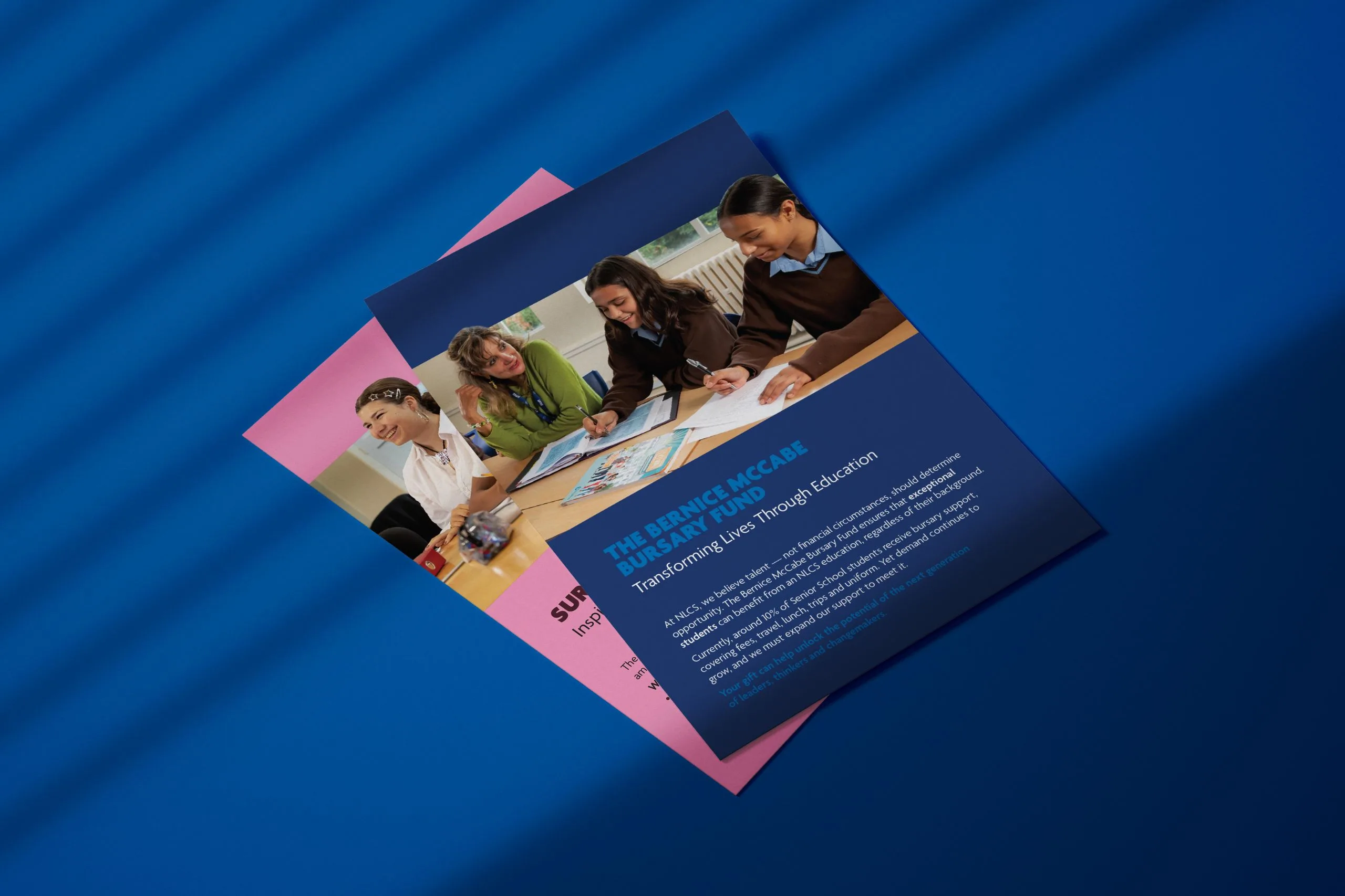 A mock-up showing 2 stacked cards from the NLCS fundraising pack.